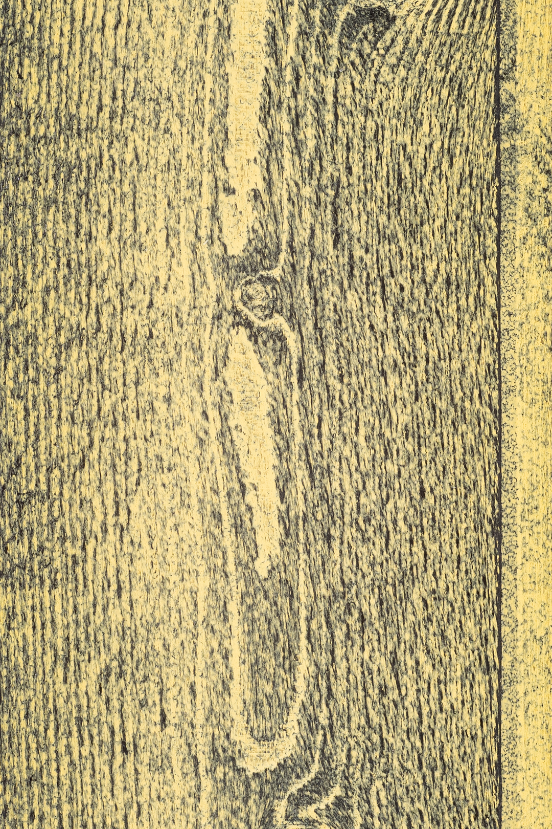 BOAZERIA /FAZA/ PTGV/S 12x120 RUSTIK LEMON - obrazek 2