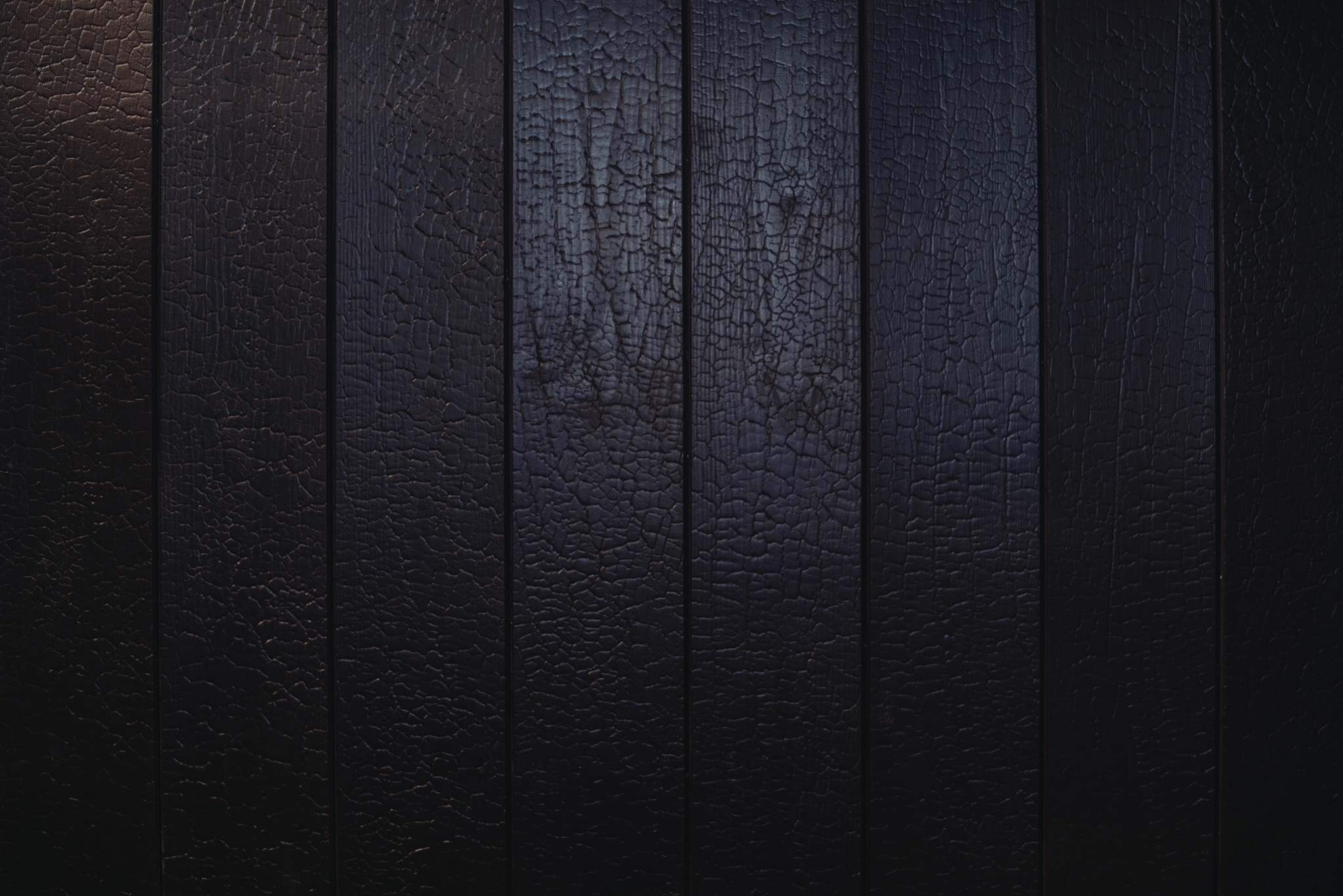 FACADE BOARD PTGH/OT 19X146 DRAGON IMPRINT COLOR BLACK CL. AB SWIERK - obrazek 5