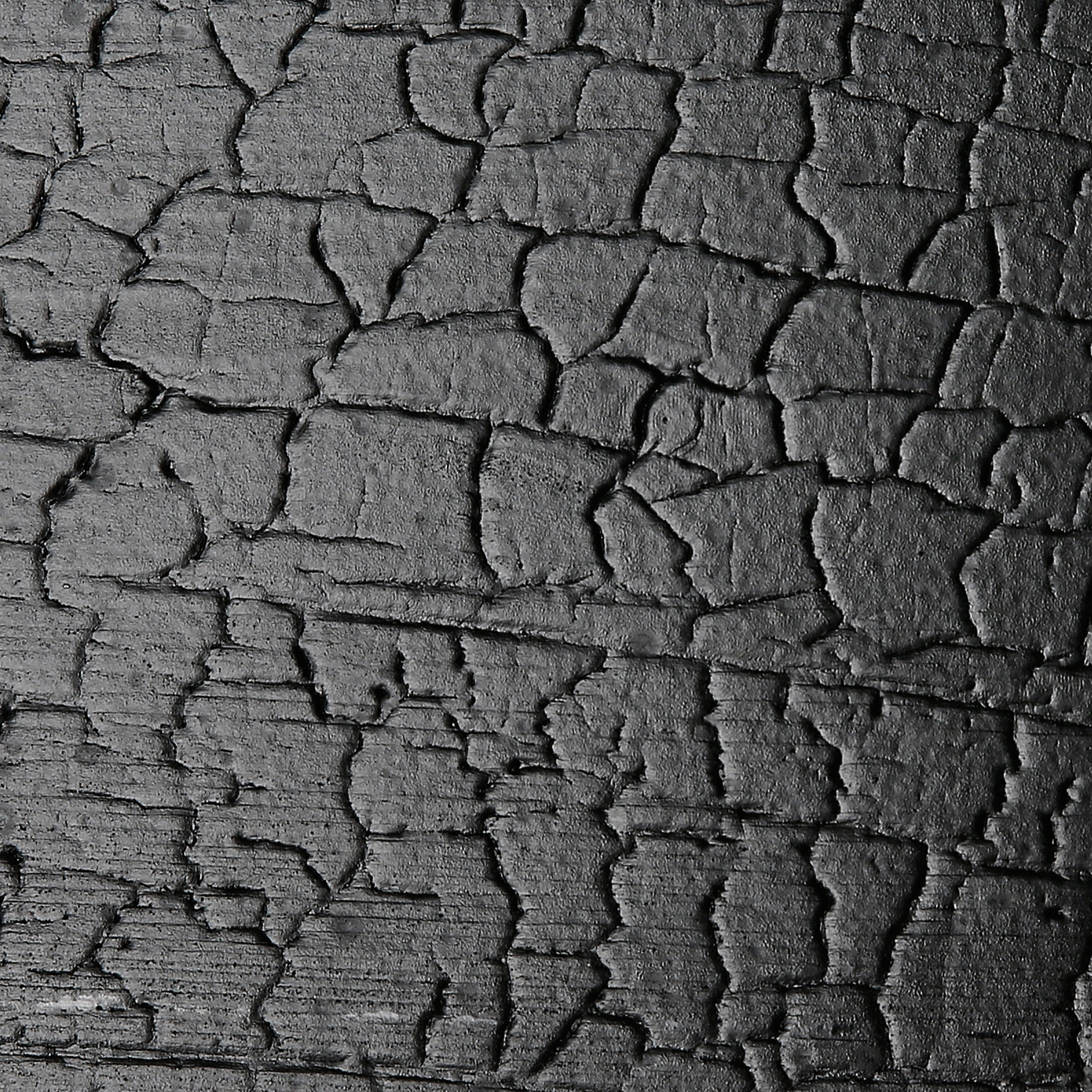 FACADE BOARD PTGH/OT 19X146 DRAGON IMPRINT COLOR BLACK CL. AB SWIERK - obrazek 8